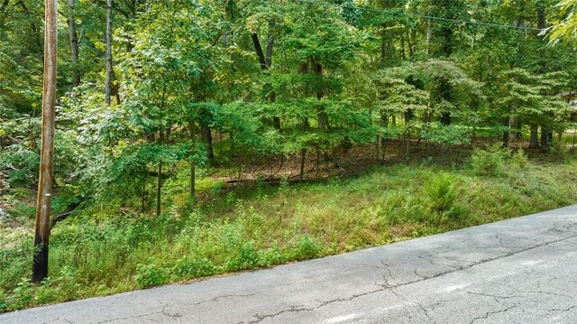 Listing photo 3 for LOT26 Dogwood Dr, Garfield AR 72732