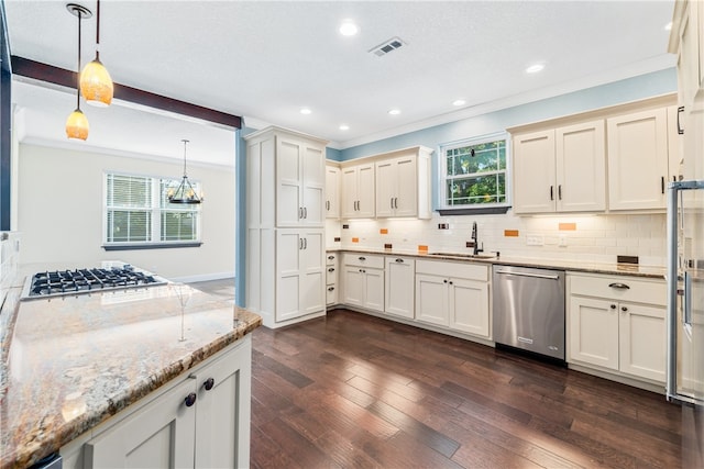 kitchen with plenty of natural light, stainless steel appliances, dark hardwood / wood-style floors, and sink