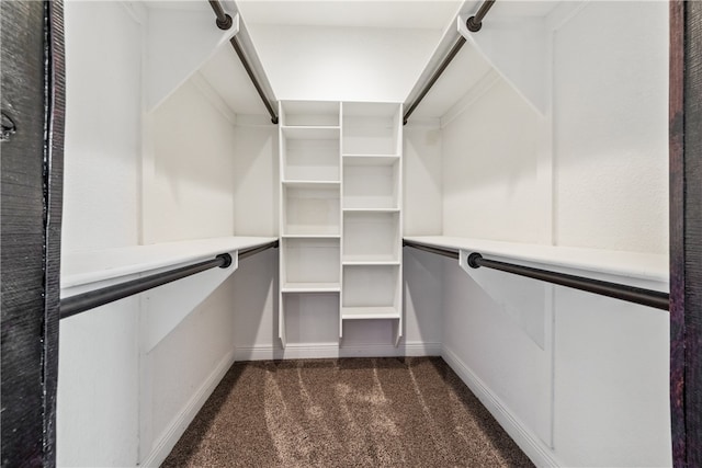 walk in closet featuring dark colored carpet