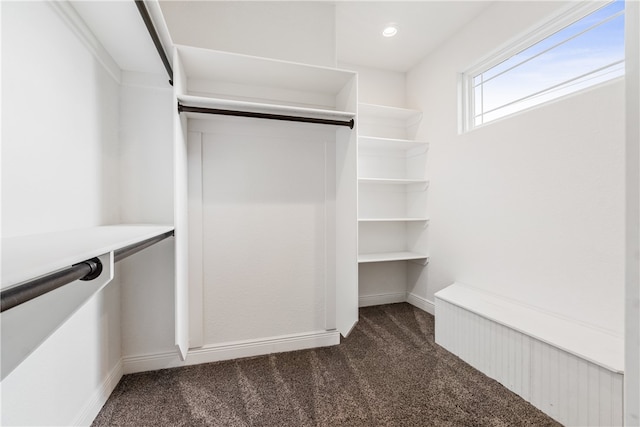 spacious closet featuring dark colored carpet