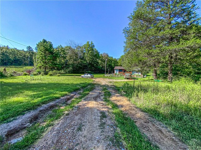 view of road featuring dirt driveway