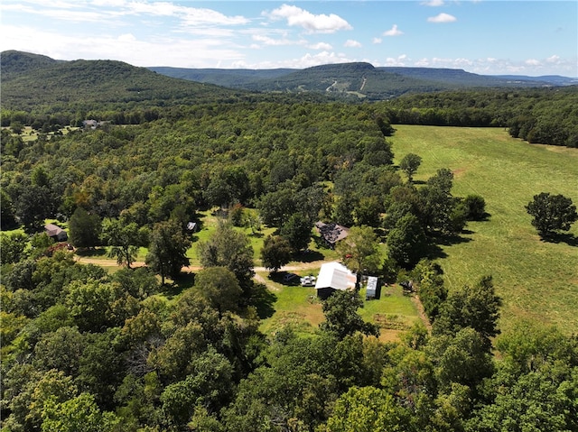 birds eye view of property featuring a mountain view