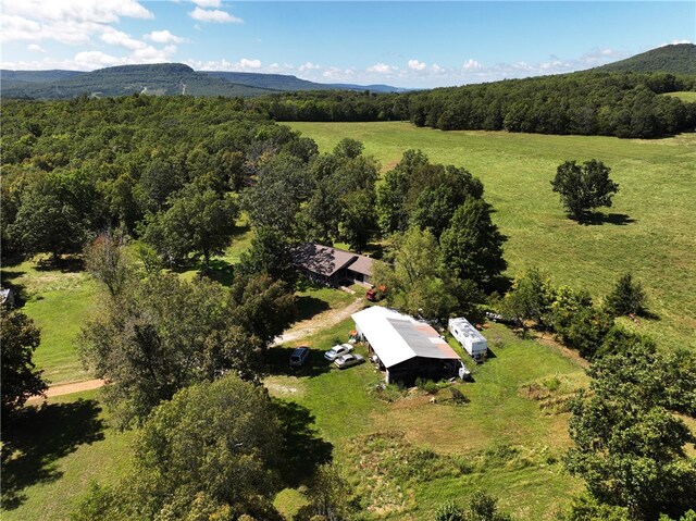 birds eye view of property with a mountain view