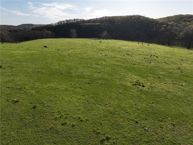 view of yard featuring a rural view