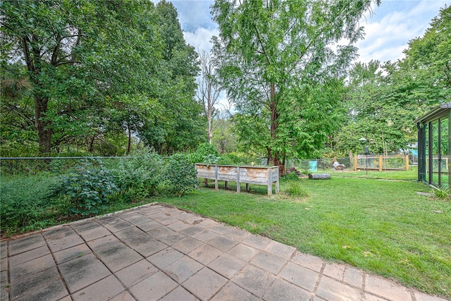 view of yard featuring a patio area