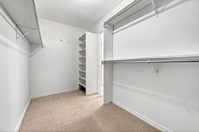 walk in closet featuring carpet floors