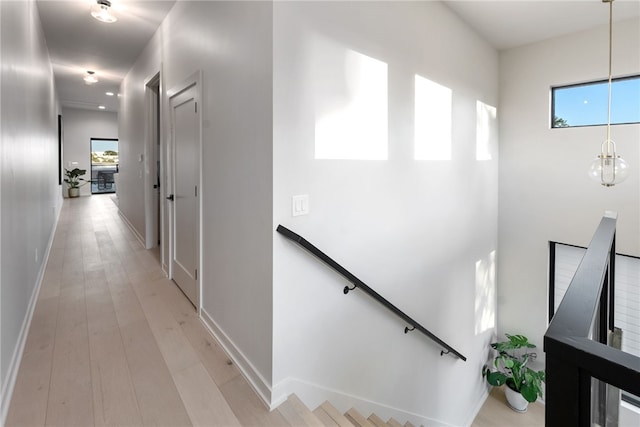 hallway featuring plenty of natural light and light hardwood / wood-style floors