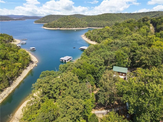 bird's eye view with a forest view and a water view