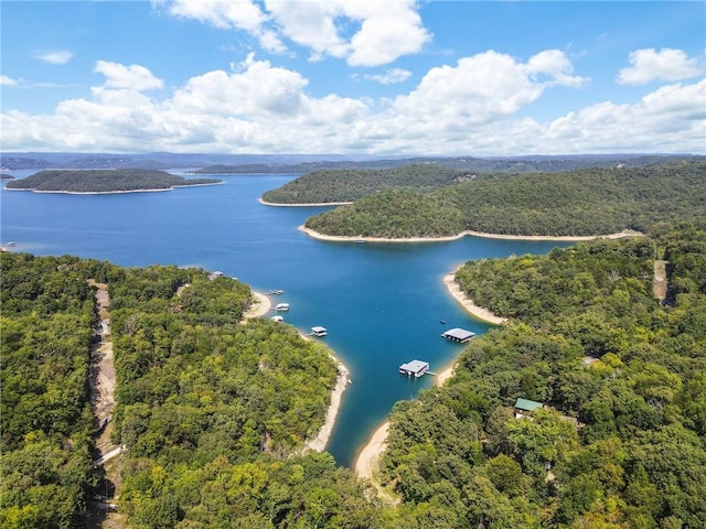 birds eye view of property featuring a forest view and a water view