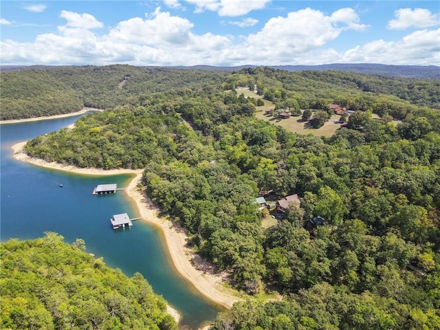 birds eye view of property with a forest view and a water view