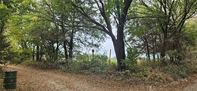 12969 Cincinnati Rd, Summers, AR 72769 - photo 1