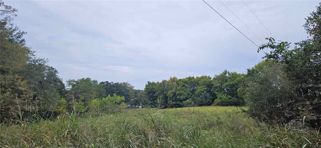 12969 Cincinnati Rd, Summers, AR 72769 - photo 3