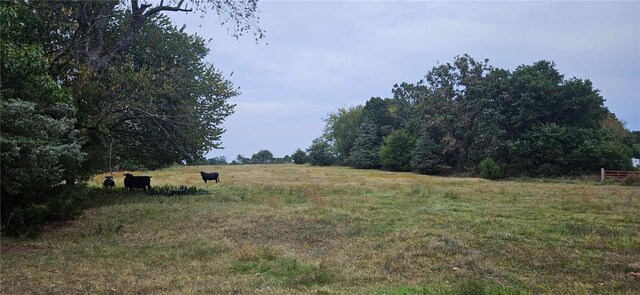 12969 Cincinnati Rd, Summers, AR 72769 - photo 10