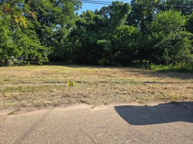 Listing photo 2 for LOT018 Bismark St, Texarkana AR 71854