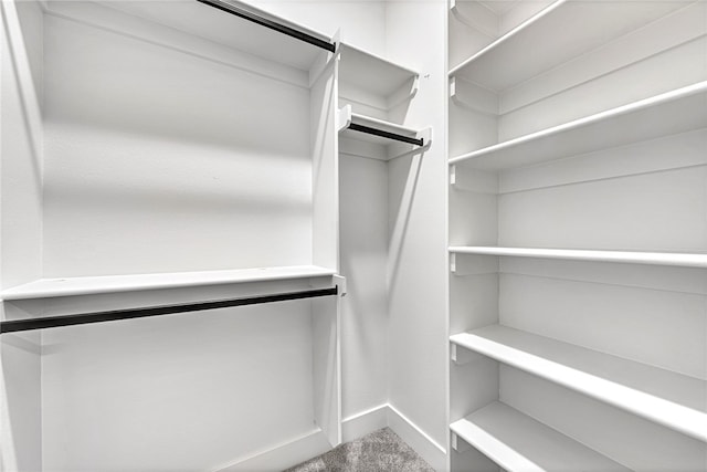 spacious closet featuring carpet