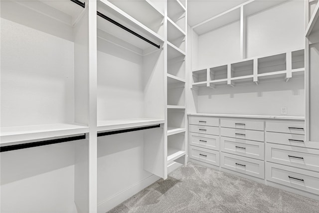 spacious closet featuring light colored carpet