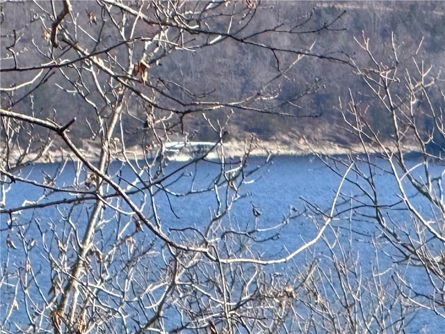 view of water feature