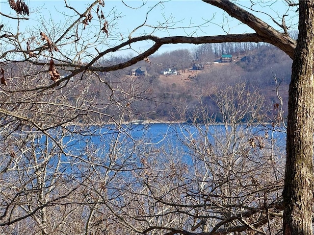 11566 Hickory Dr, Garfield, AR 72732 - water view