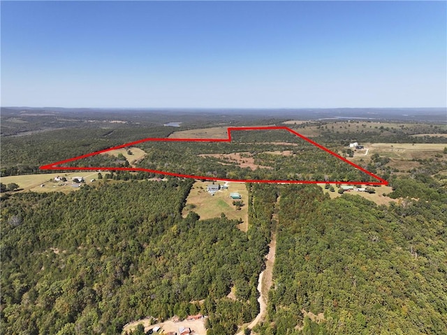 TBD Highway 14, Lead Hill, AR 72644 - photo 2