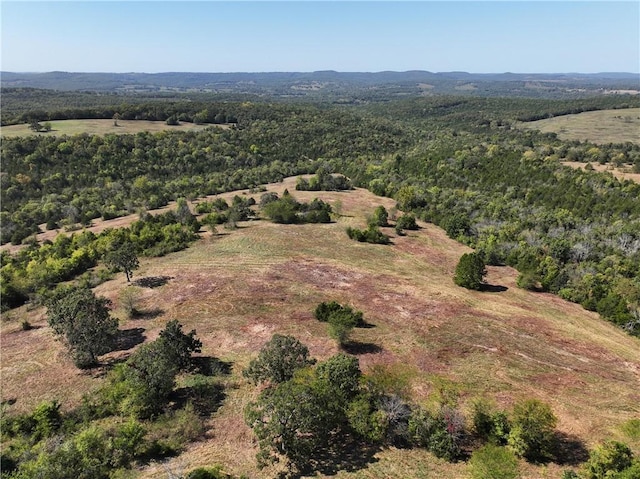 TBD Highway 14, Lead Hill, AR 72644 - photo 18