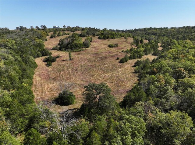 TBD Highway 14, Lead Hill, AR 72644 - photo 19