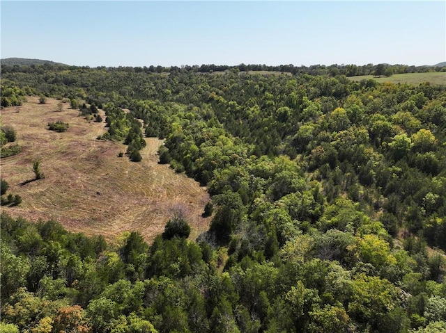 TBD Highway 14, Lead Hill, AR 72644 - photo 20
