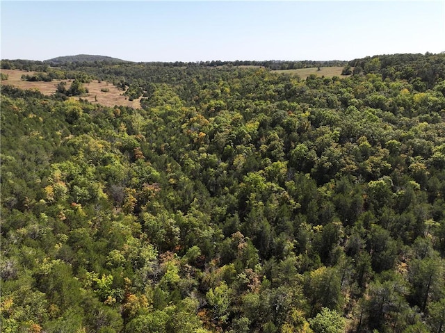 TBD Highway 14, Lead Hill, AR 72644 - photo 21