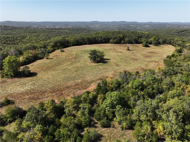TBD Highway 14, Lead Hill, AR 72644 - photo 22