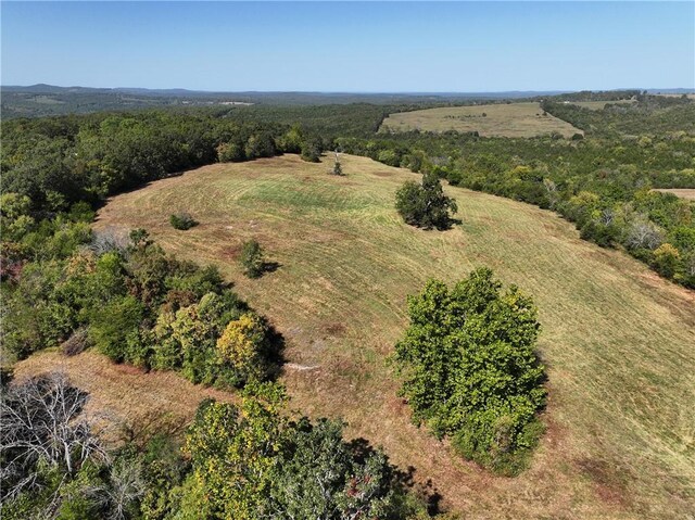 TBD Highway 14, Lead Hill, AR 72644 - photo 23