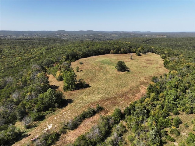 TBD Highway 14, Lead Hill, AR 72644 - photo 24