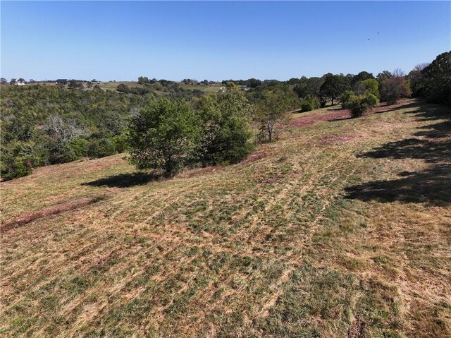 TBD Highway 14, Lead Hill, AR 72644 - photo 25