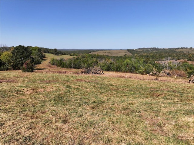 TBD Highway 14, Lead Hill, AR 72644 - photo 26
