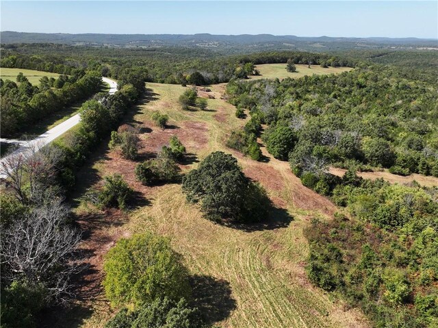 TBD Highway 14, Lead Hill, AR 72644 - photo 27