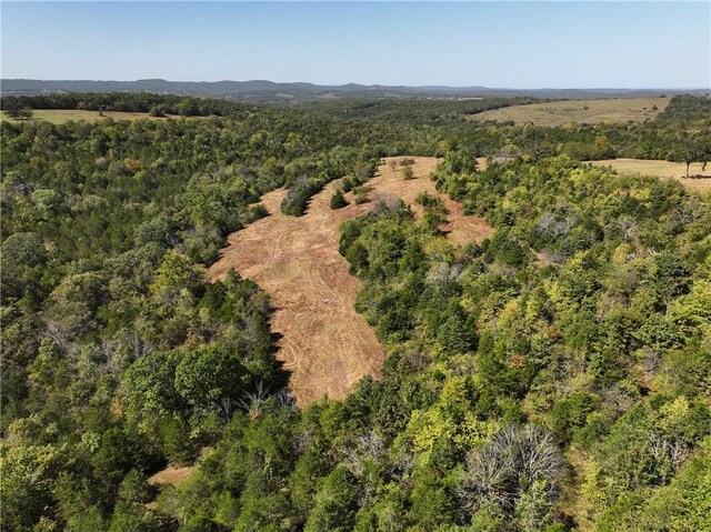 TBD Highway 14, Lead Hill, AR 72644 - photo 28
