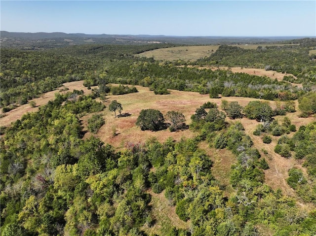 TBD Highway 14, Lead Hill, AR 72644 - photo 29