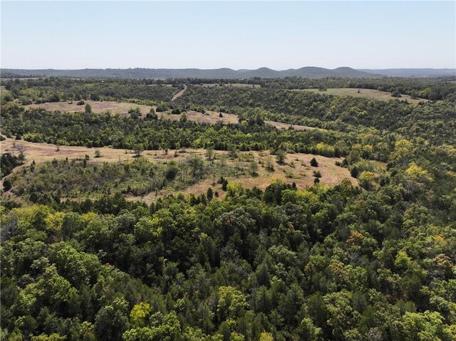 TBD Highway 14, Lead Hill, AR 72644 - photo 31