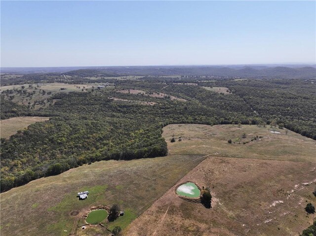 TBD Highway 14, Lead Hill, AR 72644 - photo 33