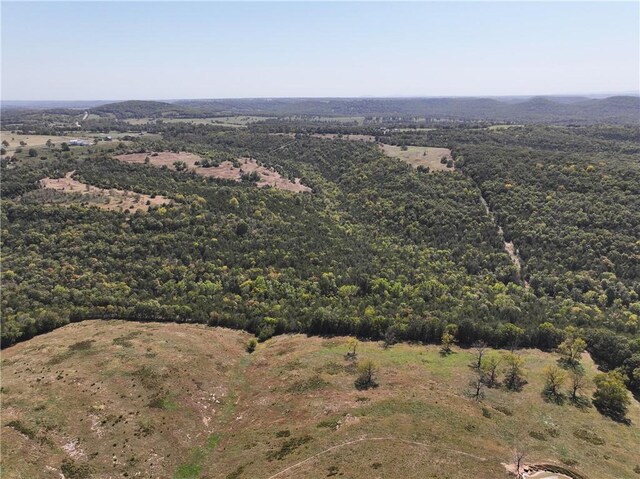 TBD Highway 14, Lead Hill, AR 72644 - photo 34
