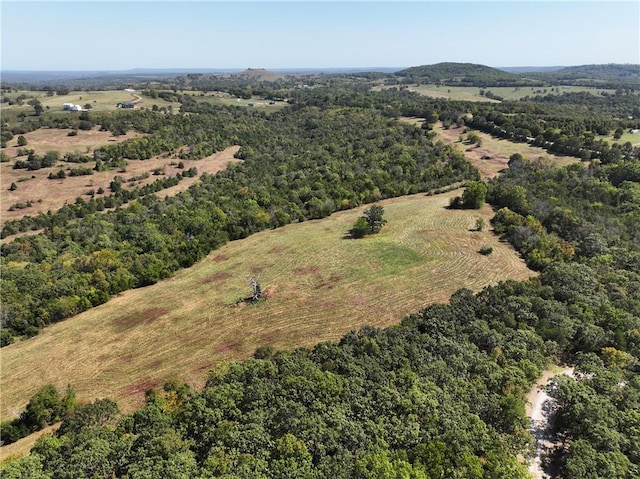 TBD Highway 14, Lead Hill, AR 72644 - photo 36