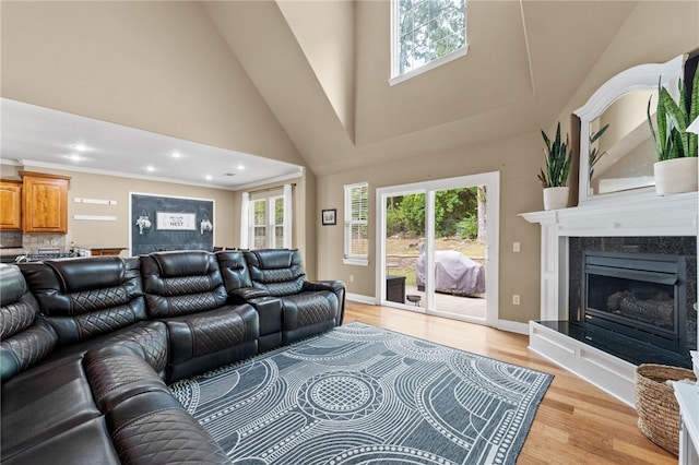 living room with light hardwood / wood-style flooring and high vaulted ceiling