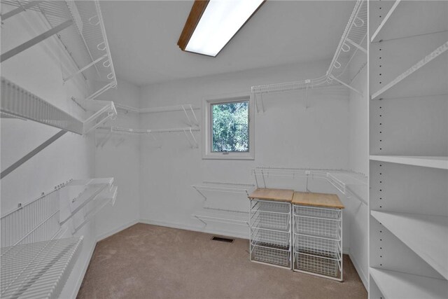 walk in closet with carpet floors