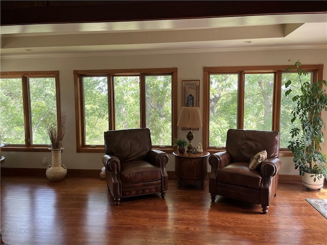 living area featuring crown molding and dark hardwood / wood-style flooring