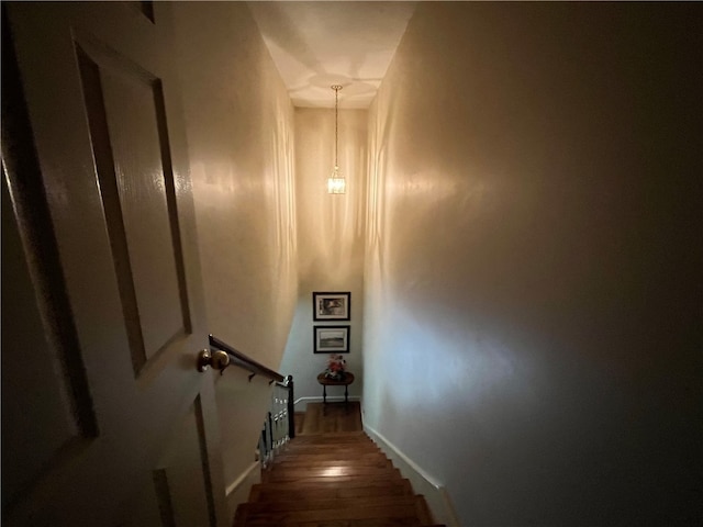 staircase with hardwood / wood-style floors