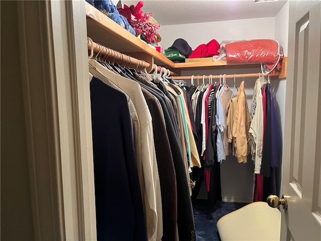 view of spacious closet