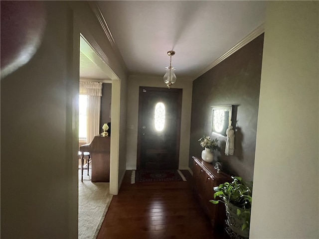 doorway to outside with ornamental molding and dark wood-type flooring