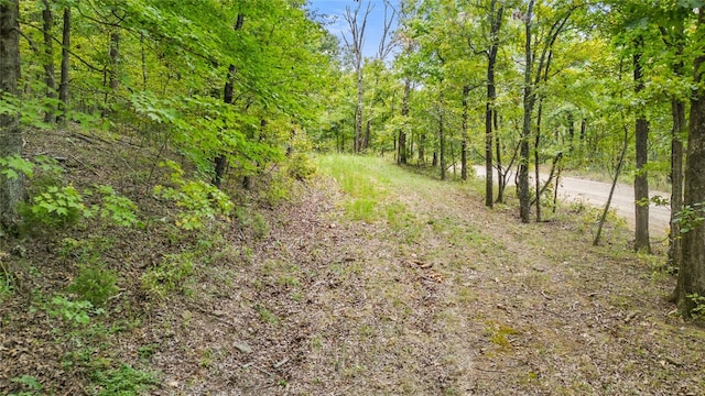 Listing photo 3 for Mast Rd, Hazel Valley, Fayetteville AR 72701