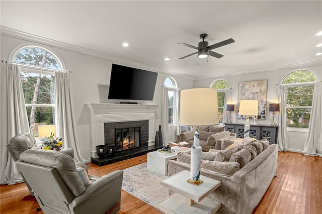 living room featuring light hardwood / wood-style flooring and a wealth of natural light