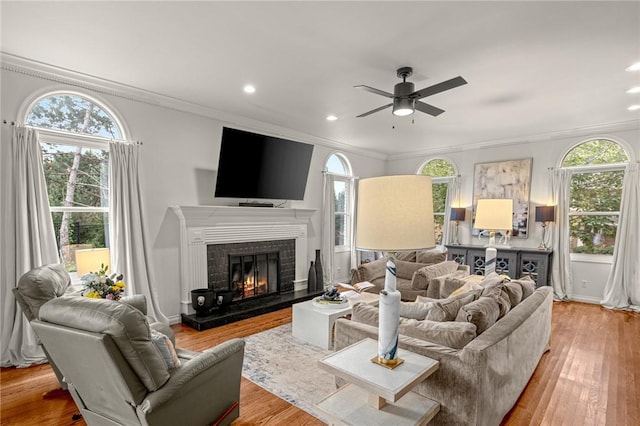 16 W Wimbledon Way, Rogers, AR 72758 - living room featuring ornamental molding, a ceiling fan, and a wealth of natural light