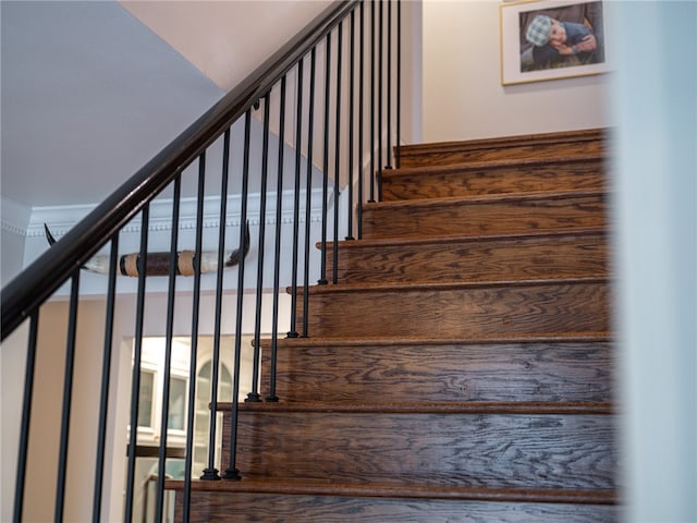 stairway featuring wood-type flooring