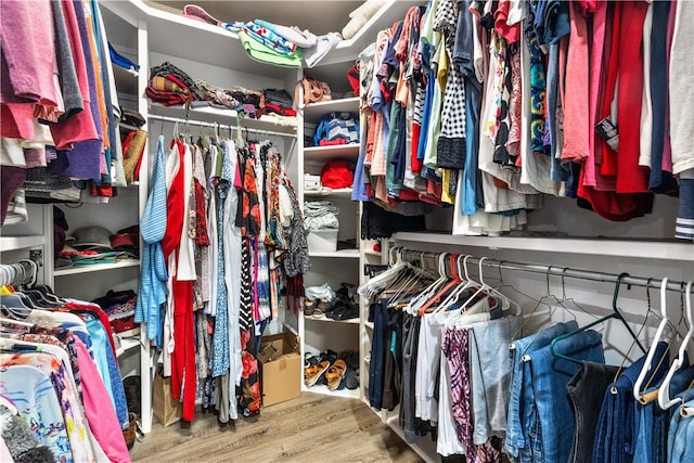 spacious closet with wood-type flooring